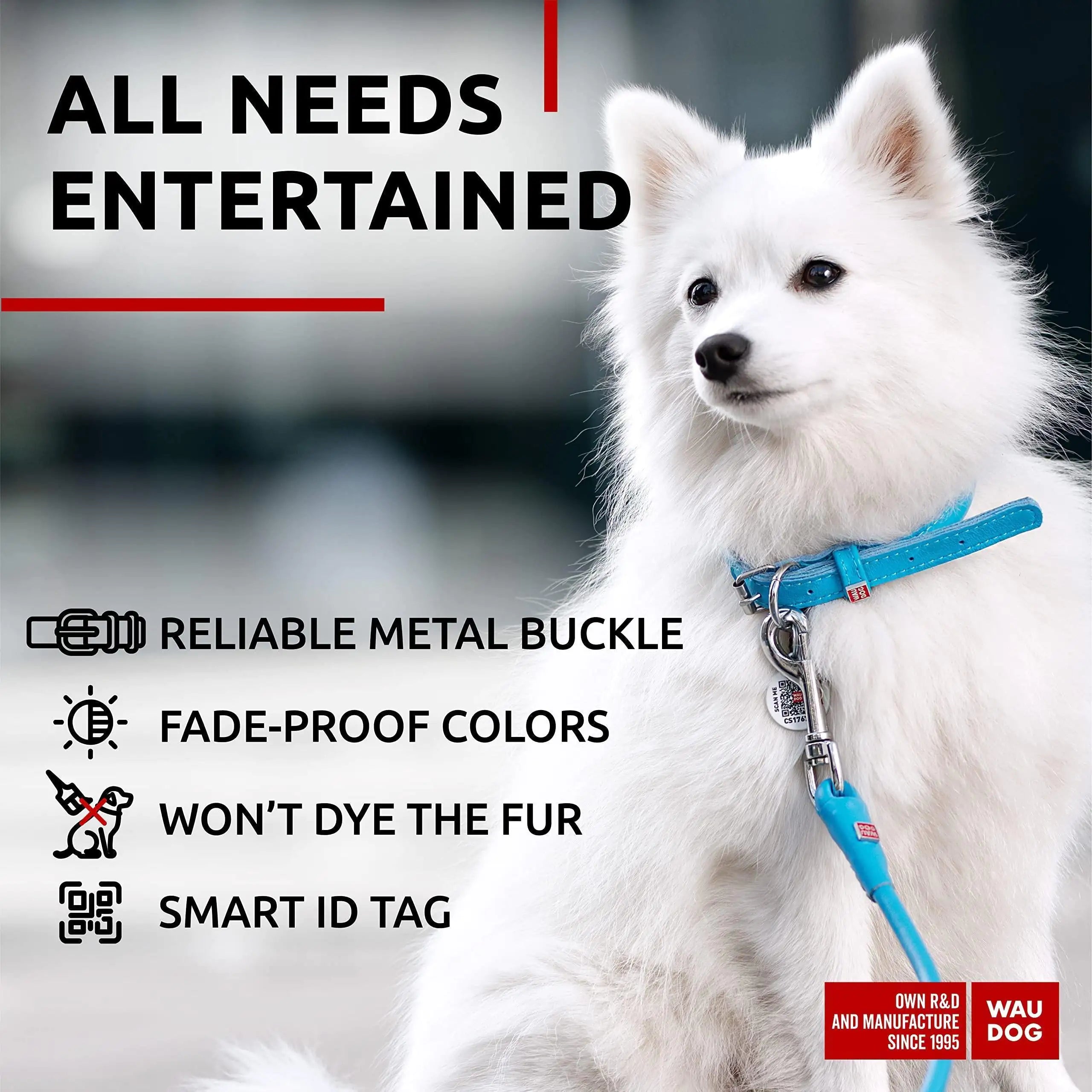 Soft Blue Leather XS Dog Collar