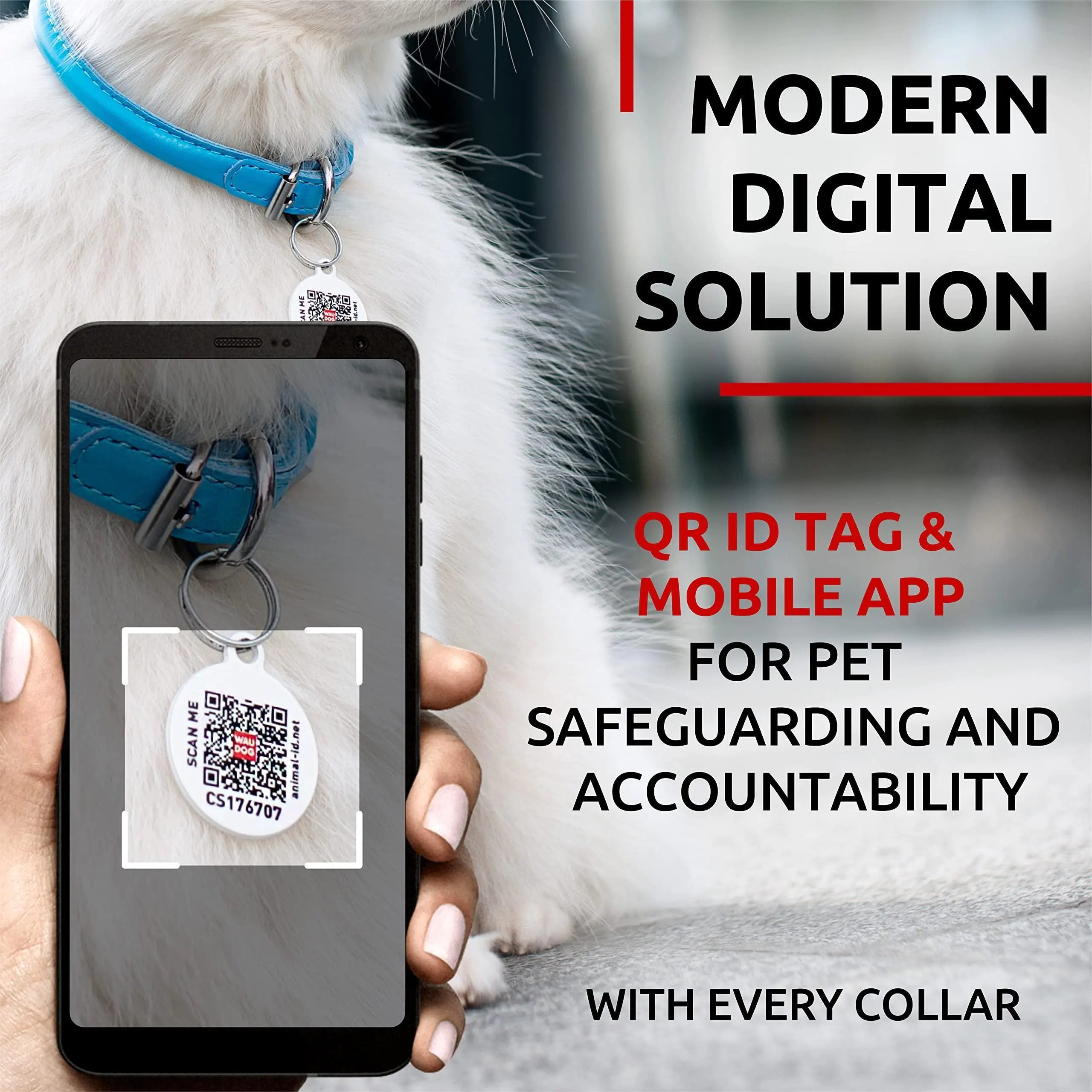 Soft Blue Leather XS Dog Collar