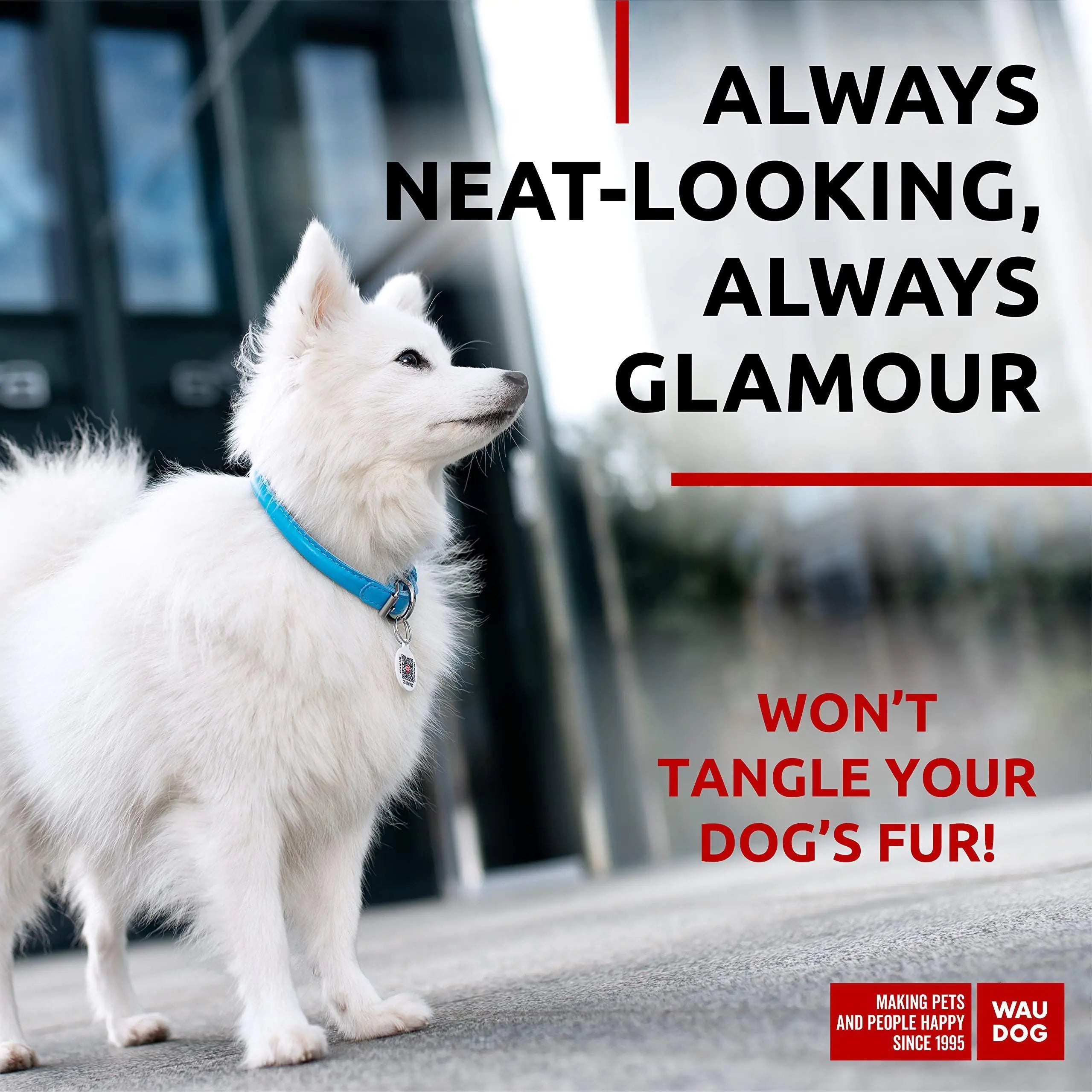 Soft Blue Leather XS Dog Collar